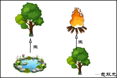 地支能生天干吗?