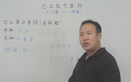 己土生于酉月