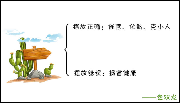 家中摆放带刺的植物有什么坏处?