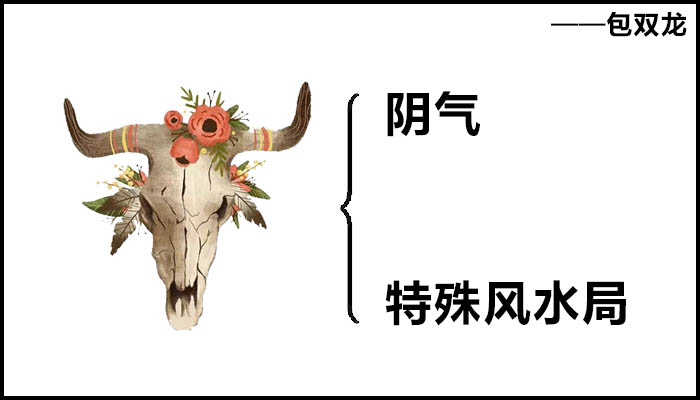 动物头骨在风水学中有什么用途吗?