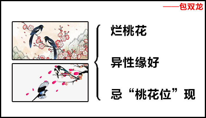 墙上挂喜鹊画有什么作用?