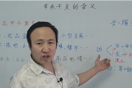 辛未干支的含义