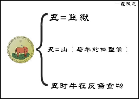 丑土在十二生肖中为什么是牛?