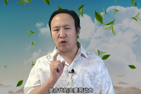 丑土为什么是金库？