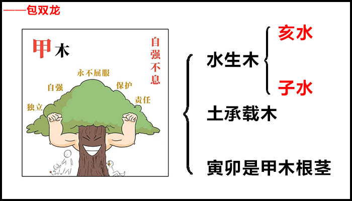 甲木最喜欢的地支是什么?