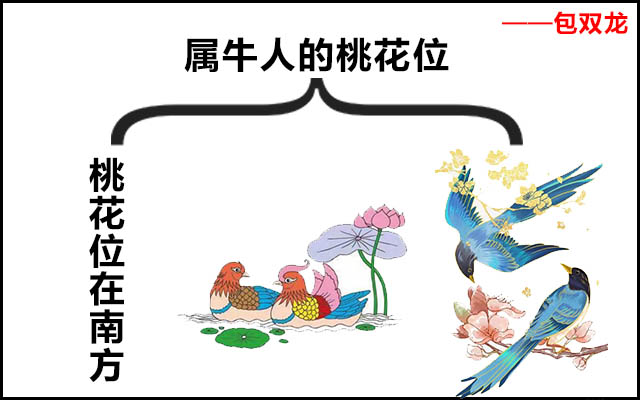 属牛人的桃花位在哪里?如何助旺桃花位?