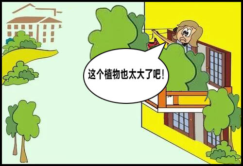 阳台上放大盆栽对风水是不是不好？