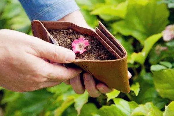 家里有什么东西必破财