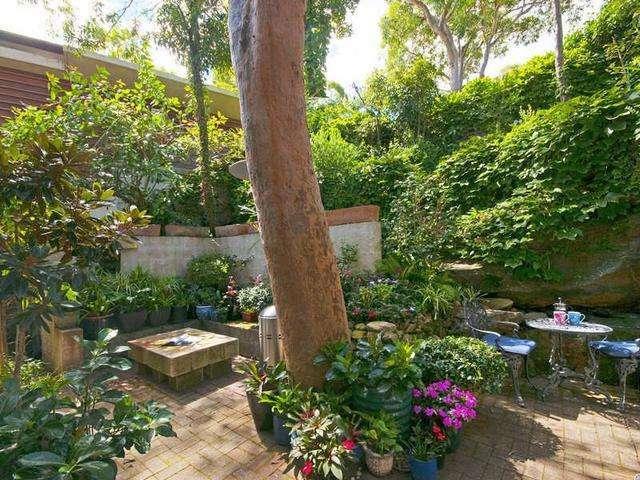 住宅院内种什么树风水好