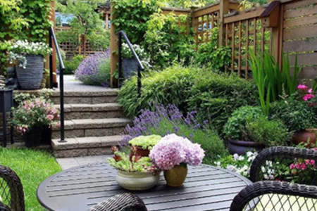 庭院种植什么花卉最好风水