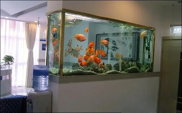家居鱼缸的摆放风水