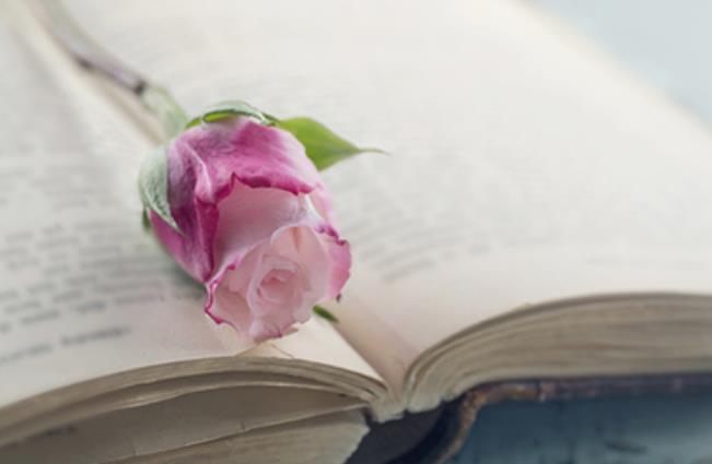 家居风水旺财运事业