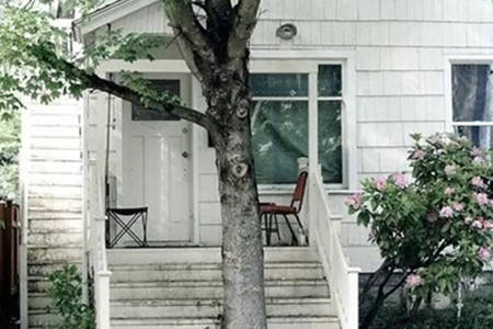 房子前面有大树怎么化煞