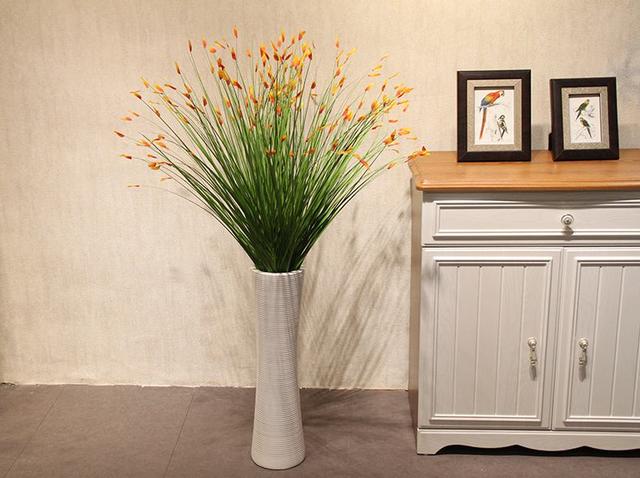 客厅摆放盆栽风水