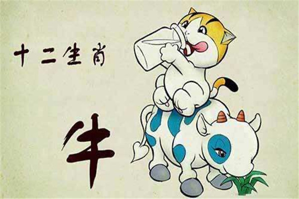 属牛的吉祥数字