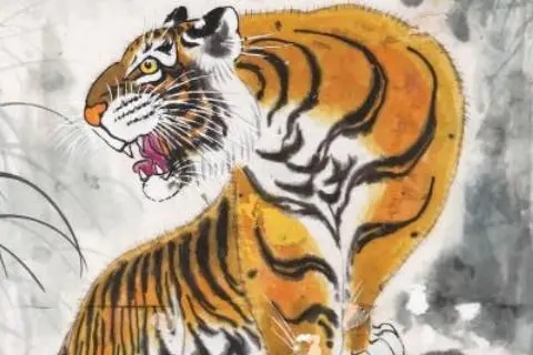 生肖虎手机号码数理吉凶