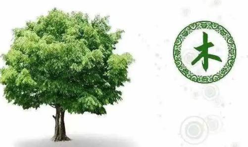 五行属木手机号码吉祥数字