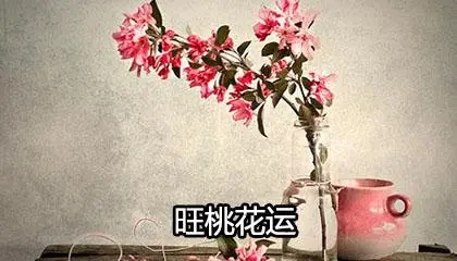 旺福旺桃花的手机尾数有哪些