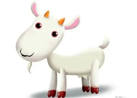 属羊人手机号吉利数是什么