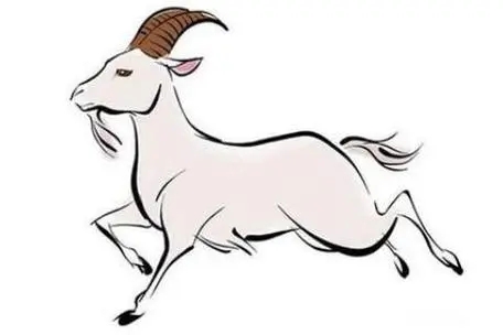 属羊的人如何挑选手机尾号