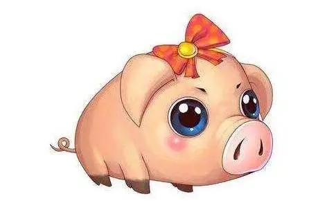 属猪的人用什么号码才吉利