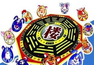 属相和楼层的关系