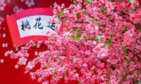 烂桃花太多怎么解决