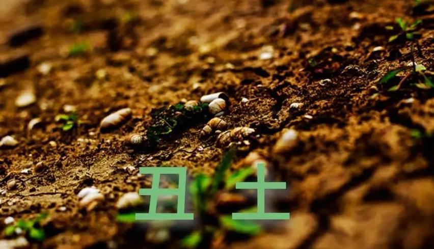 丑年有灾咋化解