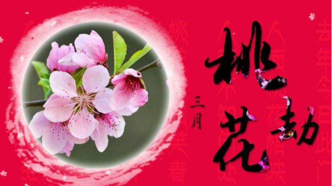 怎么解决桃花劫