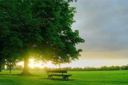 五行缺木怎么解决