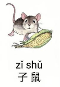 2025年12生肖运势解析完整版