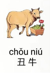 2025年12生肖运势解析完整版