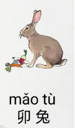 2025年12生肖运势解析完整版