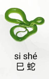 2025年12生肖运势解析完整版