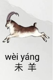 2025年12生肖运势解析完整版