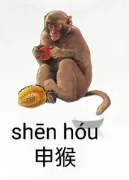 2025年12生肖运势解析完整版