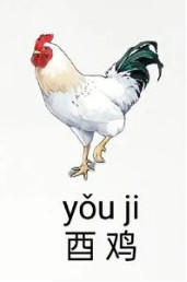 2025年12生肖运势解析完整版