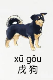 2025年12生肖运势解析完整版