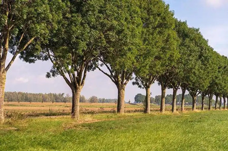 房子右边高过左边怎么化解