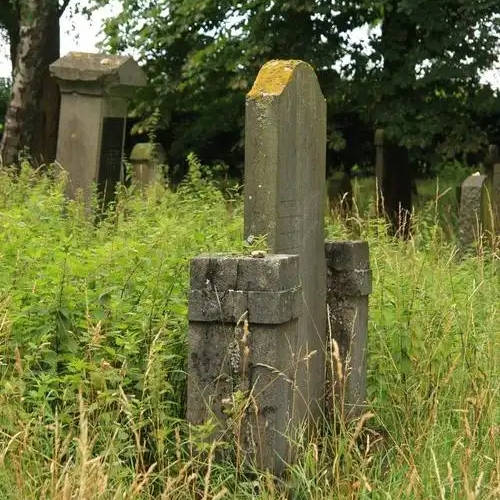 看坟地记住一句口诀