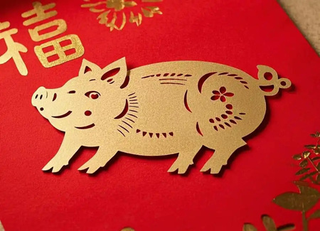 2025年属猪风水绿植有哪些