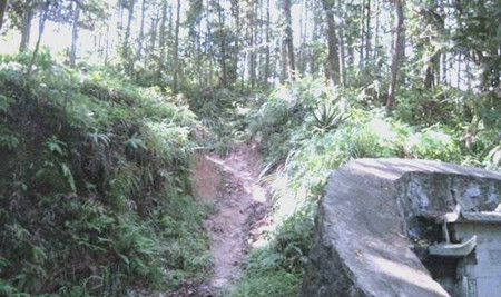 坟墓后面有路好不好