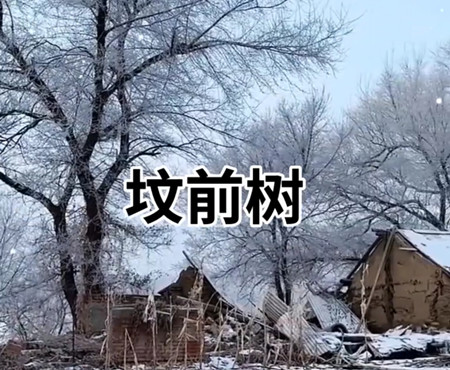 坟墓前面最忌讳有什么