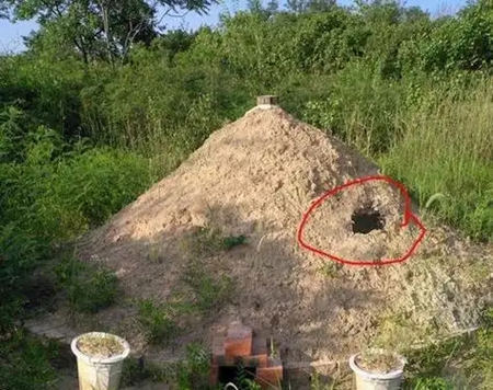 坟墓有老鼠洞是好还是坏