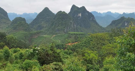 阳宅的朝山有什么讲究