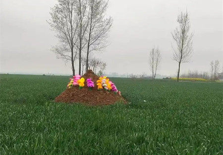 坟地周围多少米不能动土