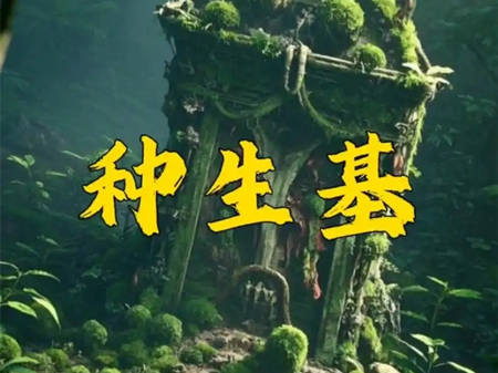 种生基什么意思