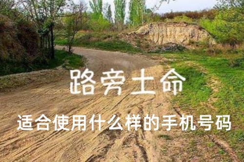 路旁土男命适合使用什么样的手机号码