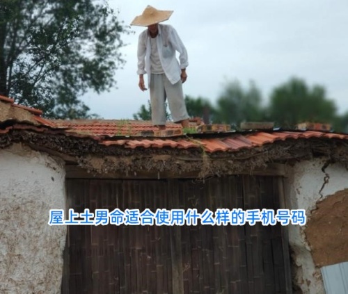 屋上土男命适合使用什么样的手机号码