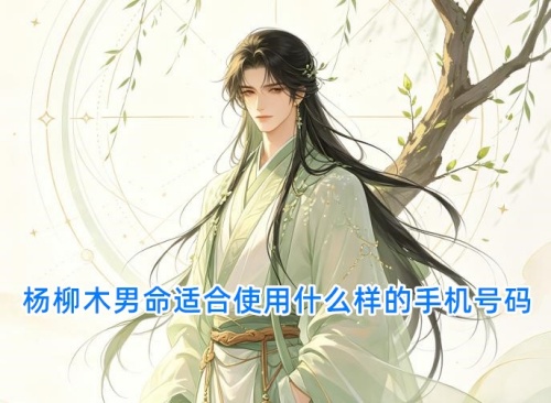 杨柳木男命适合使用什么样的手机号码
